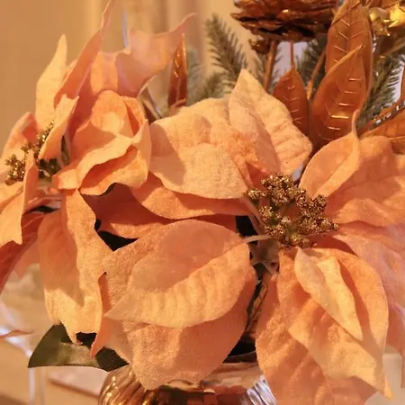 Cozy Family With Free Parking And Wifi アパート リーズ