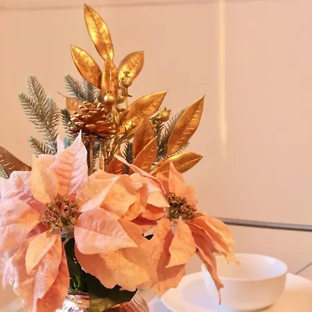 公寓 Cozy Family With Free Parking And Wifi *